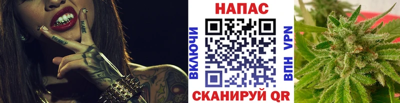 купить закладку  мега зеркало  Бошки марихуана план  Ладушкин 